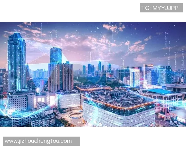 南京羽毛球队的阵地战解析与未来发展展望