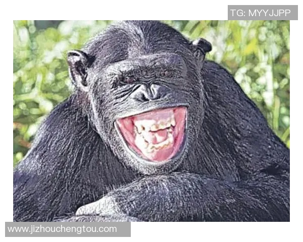 足球明星搞笑瞬间合集视频让你捧腹大笑不容错过的精彩时刻